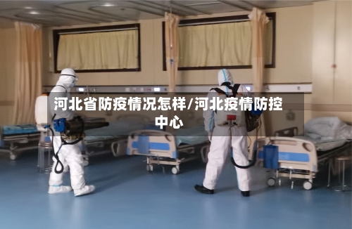河北省防疫情况怎样/河北疫情防控中心-第2张图片
