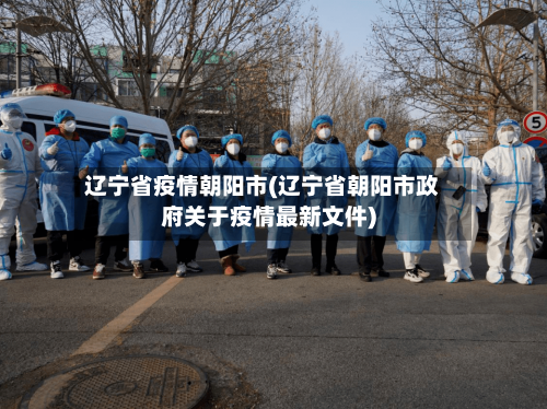 辽宁省疫情朝阳市(辽宁省朝阳市政府关于疫情最新文件)-第2张图片