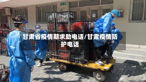 甘肃省疫情期求助电话/甘肃疫情防护电话-第1张图片
