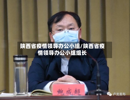 陕西省疫情领导办公小组/陕西省疫情领导办公小组组长-第2张图片