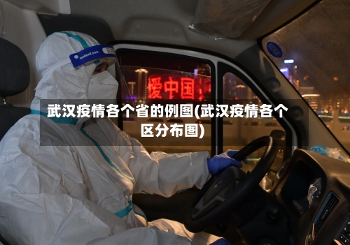 武汉疫情各个省的例图(武汉疫情各个区分布图)-第3张图片