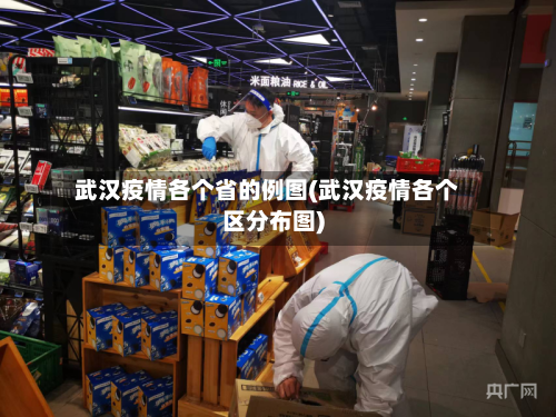 武汉疫情各个省的例图(武汉疫情各个区分布图)-第2张图片