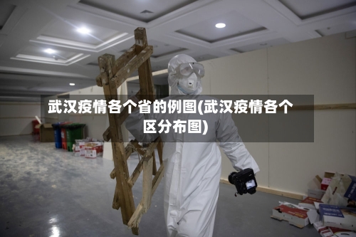 武汉疫情各个省的例图(武汉疫情各个区分布图)-第1张图片