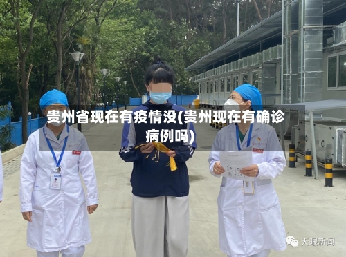 贵州省现在有疫情没(贵州现在有确诊病例吗)-第1张图片