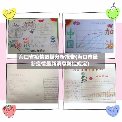 海口省疫情数据分析报告(海口市最新疫情最新消息防控规定)-第2张图片