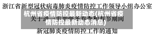 杭州省疫情防控最新动态(杭州省疫情防控最新动态消息)-第2张图片