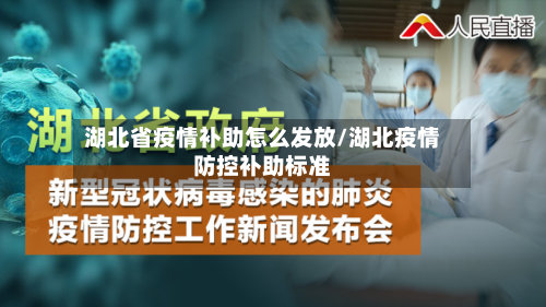 湖北省疫情补助怎么发放/湖北疫情防控补助标准-第2张图片