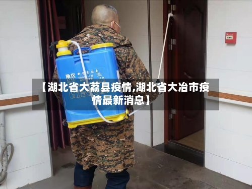 【湖北省大荔县疫情,湖北省大冶市疫情最新消息】-第2张图片