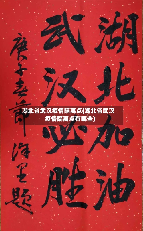 湖北省武汉疫情隔离点(湖北省武汉疫情隔离点有哪些)-第1张图片