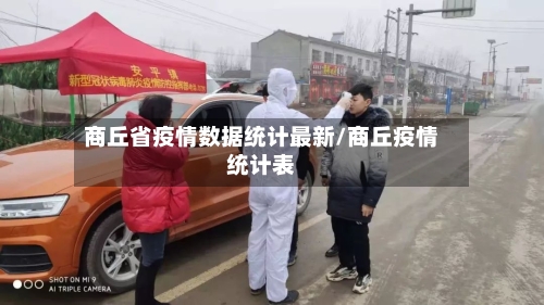 商丘省疫情数据统计最新/商丘疫情统计表-第3张图片