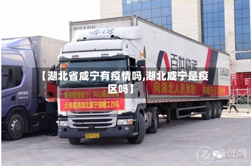 【湖北省咸宁有疫情吗,湖北咸宁是疫区吗】-第3张图片