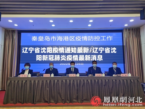 辽宁省沈阳疫情通知最新/辽宁省沈阳新冠肺炎疫情最新消息-第1张图片