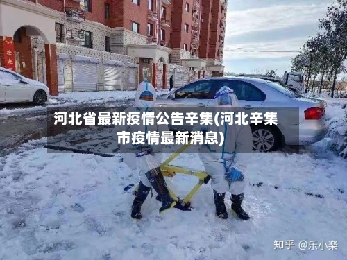 河北省最新疫情公告辛集(河北辛集市疫情最新消息)-第1张图片