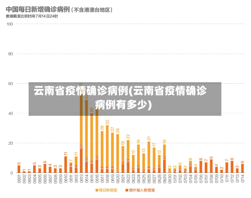 云南省疫情确诊病例(云南省疫情确诊病例有多少)-第1张图片