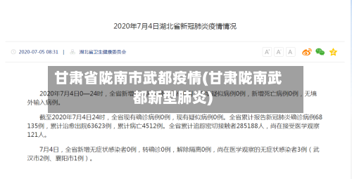 甘肃省陇南市武都疫情(甘肃陇南武都新型肺炎)-第1张图片