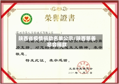 陕西省疫情捐助名单公示/陕西慈善总会捐款-第2张图片