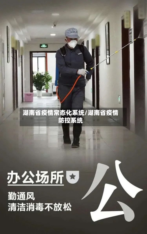 湖南省疫情常态化系统/湖南省疫情防控系统-第2张图片