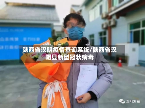 陕西省汉阴疫情查询系统/陕西省汉阴县新型冠状病毒-第3张图片