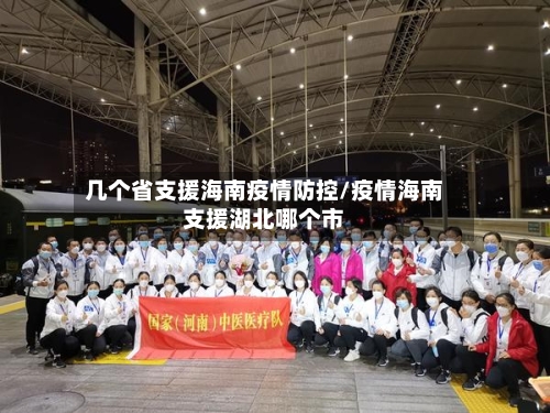 几个省支援海南疫情防控/疫情海南支援湖北哪个市-第2张图片