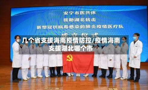 几个省支援海南疫情防控/疫情海南支援湖北哪个市-第3张图片