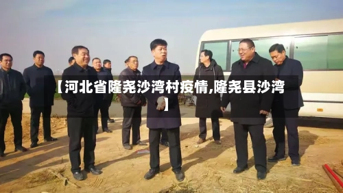【河北省隆尧沙湾村疫情,隆尧县沙湾】-第1张图片