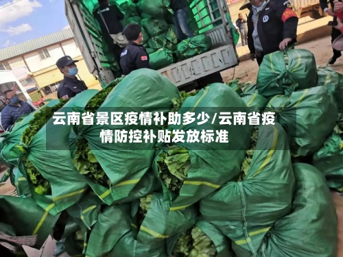 云南省景区疫情补助多少/云南省疫情防控补贴发放标准-第2张图片