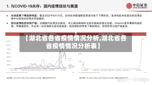 【湖北省各省疫情情况分析,湖北省各省疫情情况分析表】-第1张图片