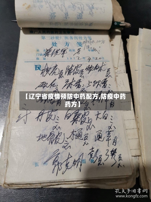 【辽宁省疫情预防中药配方,防疫中药药方】-第3张图片