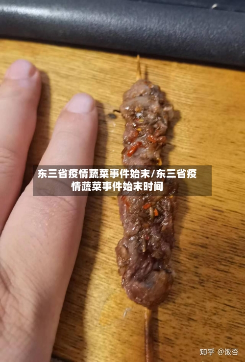 东三省疫情蔬菜事件始末/东三省疫情蔬菜事件始末时间-第1张图片