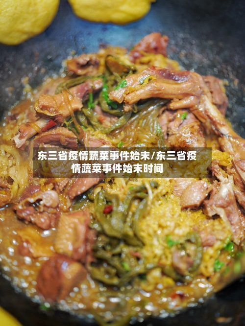 东三省疫情蔬菜事件始末/东三省疫情蔬菜事件始末时间-第2张图片