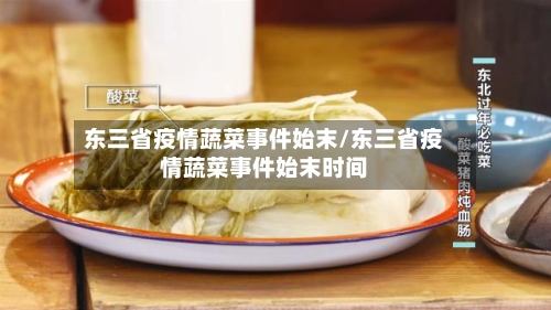 东三省疫情蔬菜事件始末/东三省疫情蔬菜事件始末时间-第3张图片
