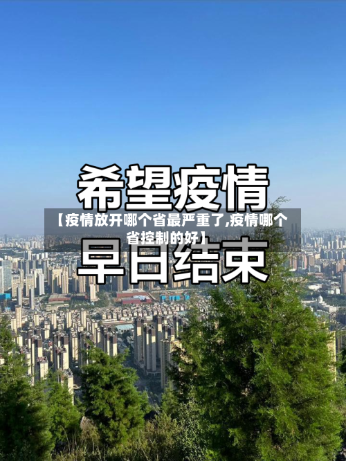 【疫情放开哪个省最严重了,疫情哪个省控制的好】-第2张图片
