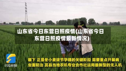 山东省今日东营日照疫情(山东省今日东营日照疫情最新情况)-第2张图片