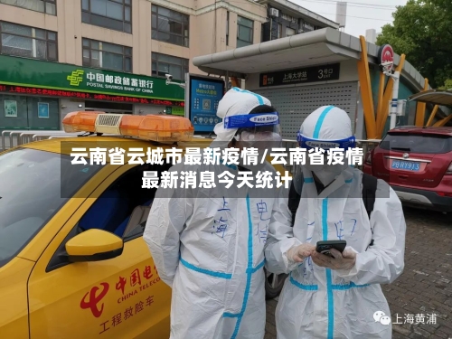 云南省云城市最新疫情/云南省疫情最新消息今天统计-第3张图片