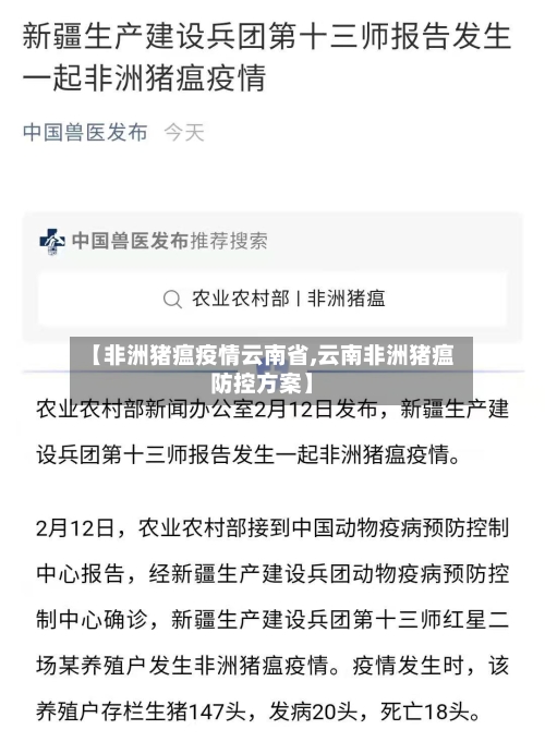 【非洲猪瘟疫情云南省,云南非洲猪瘟防控方案】-第1张图片