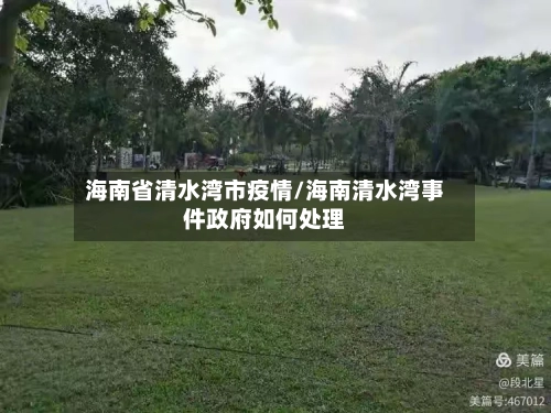 海南省清水湾市疫情/海南清水湾事件政府如何处理-第1张图片