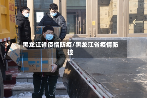 黑龙江省疫情防疫/黑龙江省疫情防控-第1张图片