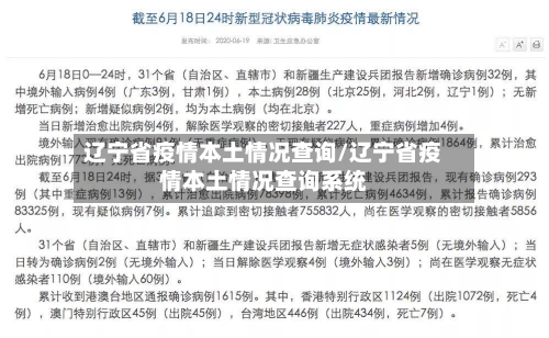 辽宁省疫情本土情况查询/辽宁省疫情本土情况查询系统-第2张图片