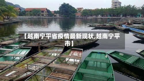 【越南宁平省疫情最新现状,越南宁平市】-第1张图片