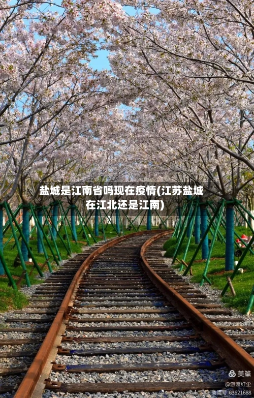 盐城是江南省吗现在疫情(江苏盐城在江北还是江南)-第1张图片