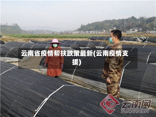 云南省疫情帮扶政策最新(云南疫情支援)-第3张图片