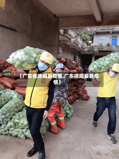 【广东省徐闻县疫情,广东徐闻最新疫情】-第1张图片
