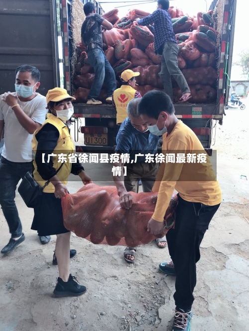 【广东省徐闻县疫情,广东徐闻最新疫情】-第2张图片
