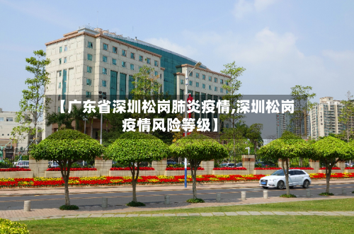 【广东省深圳松岗肺炎疫情,深圳松岗疫情风险等级】-第1张图片