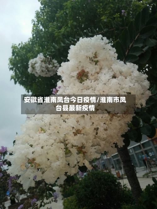 安徽省淮南凤台今日疫情/淮南市凤台县最新疫情-第1张图片