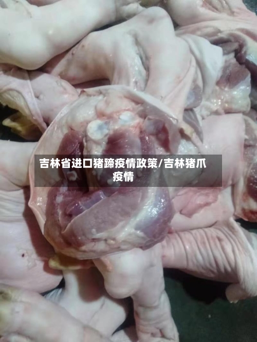吉林省进口猪蹄疫情政策/吉林猪爪疫情-第1张图片