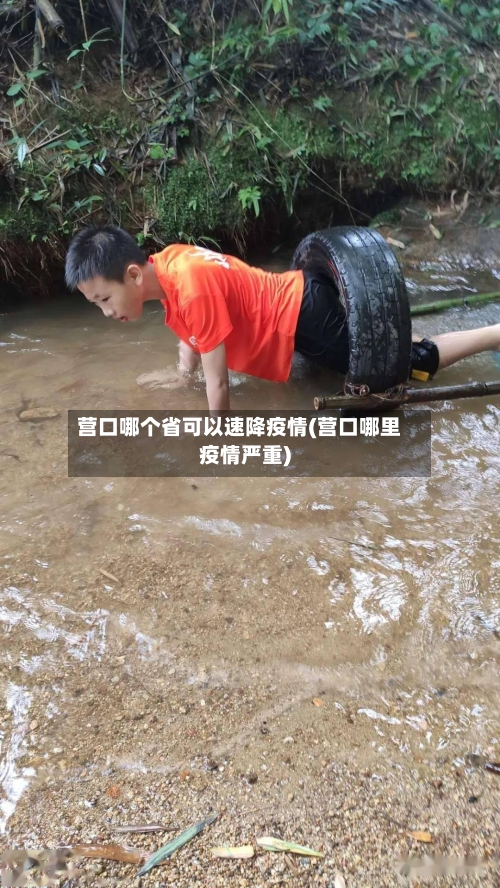 营口哪个省可以速降疫情(营口哪里疫情严重)-第1张图片