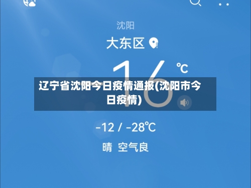 辽宁省沈阳今日疫情通报(沈阳市今日疫情)-第1张图片