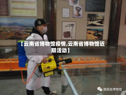 【云南省博物馆疫情,云南省博物馆近期活动】-第2张图片