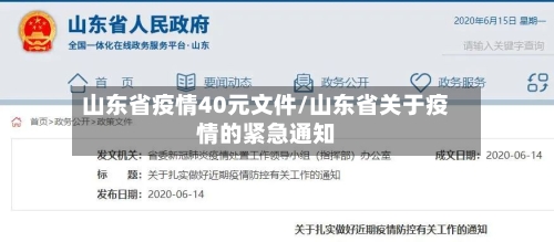 山东省疫情40元文件/山东省关于疫情的紧急通知-第2张图片